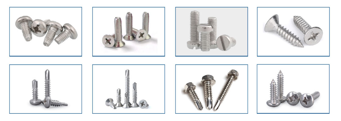 Stainless Steel Screws for Sale